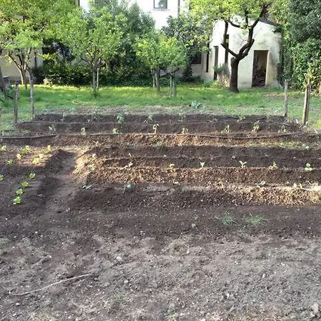 Il Giardino Segreto *